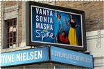 Vanya and Sonia and Masha and Spike