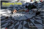 Strawberry Fields